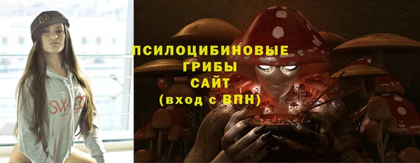 МДПВ Алзамай