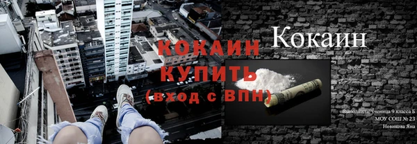 МДПВ Алзамай