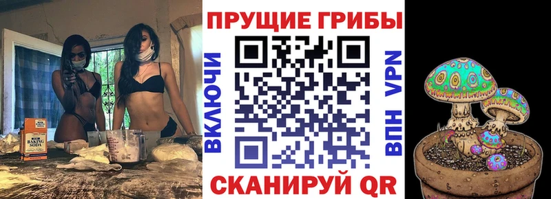 наркошоп  Жирновск  Псилоцибиновые грибы прущие грибы 